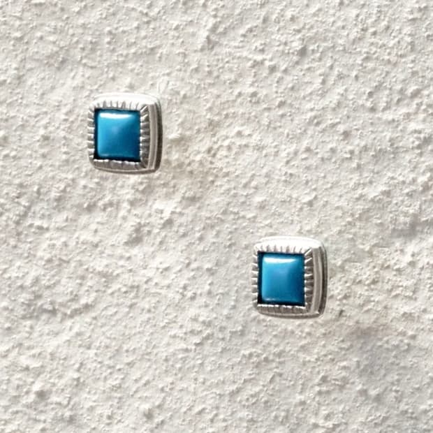 EnSage 스타스톤 스터드 귀걸이