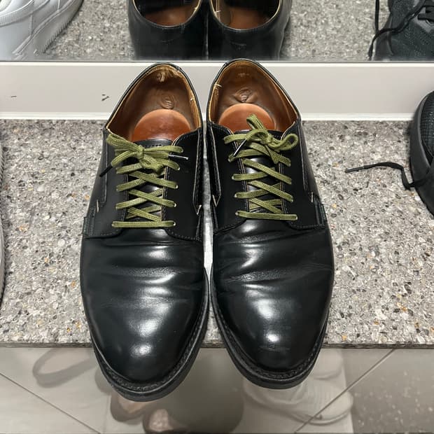 레드윙 101 포스트맨 9.5D (275)