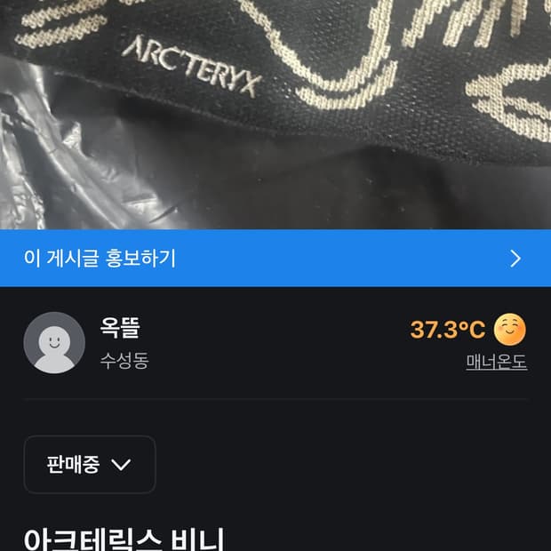 아크테릭스 비니 팝니다