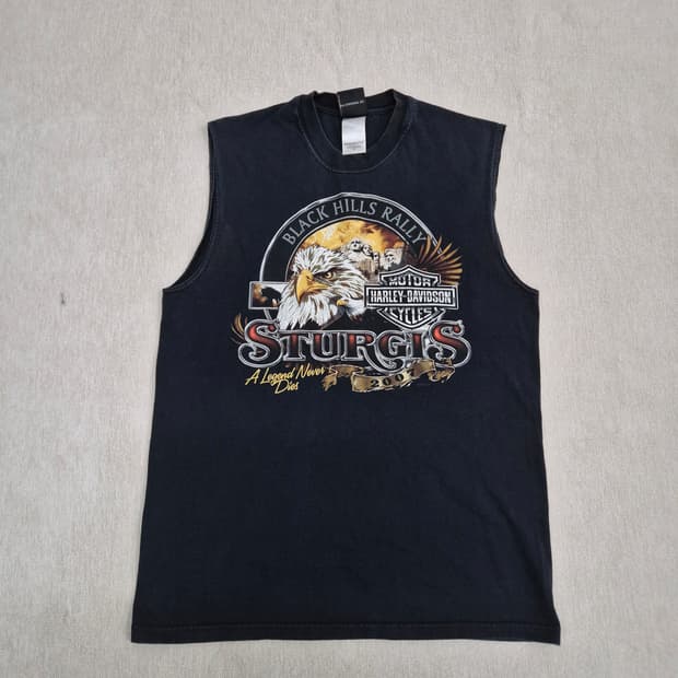 할리데이비슨 나시티