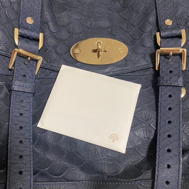 멀버리 알렉사 실키 스네이크백