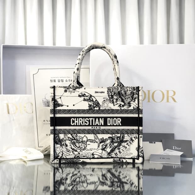 디올 북토트백 조디악 화이트 미디움