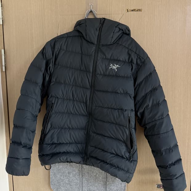 아크테릭스 토륨ar 후디  M