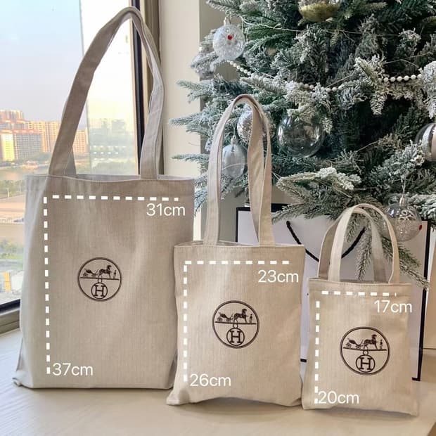 에르메스 뷰티 캔버스백 미디움 토드백