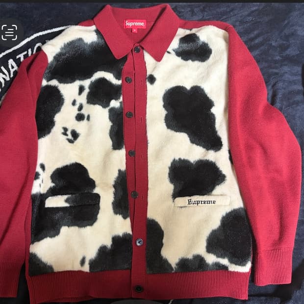 Cow Print Cardigan