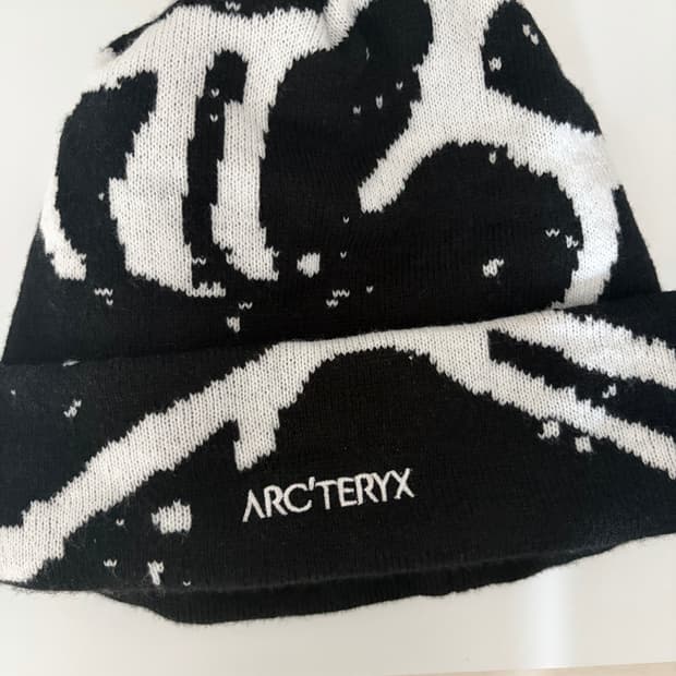 아크테릭스 비니