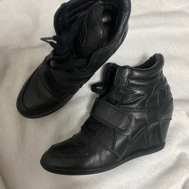 Ash 레더 보위 240