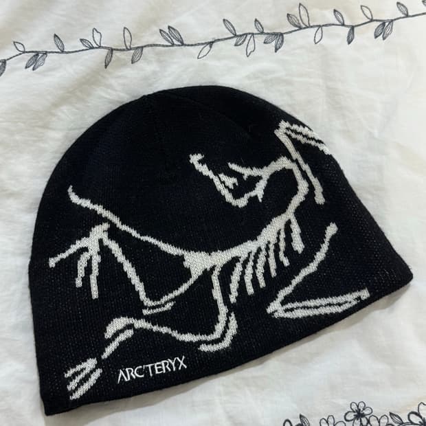 아크테릭스 버드 헤드 토크 오르카