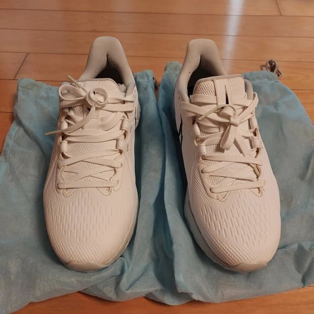 나이키 골프화 245