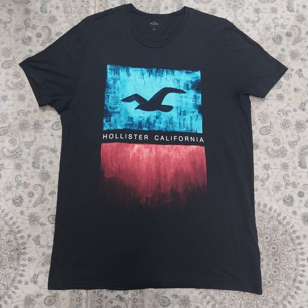HOLLISTER 홀리스터 캘리포니아 반팔티 L