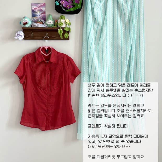 레드 블라우스