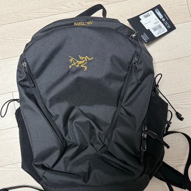 아크테릭스 맨티스 26