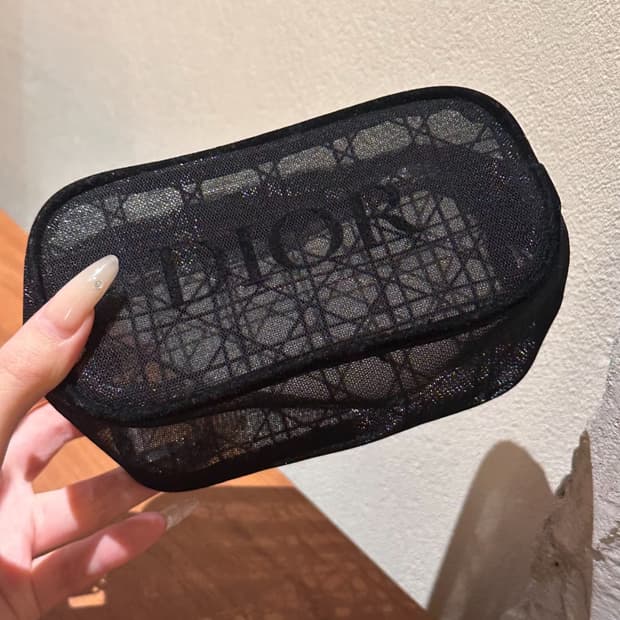 디올 메쉬 파우치