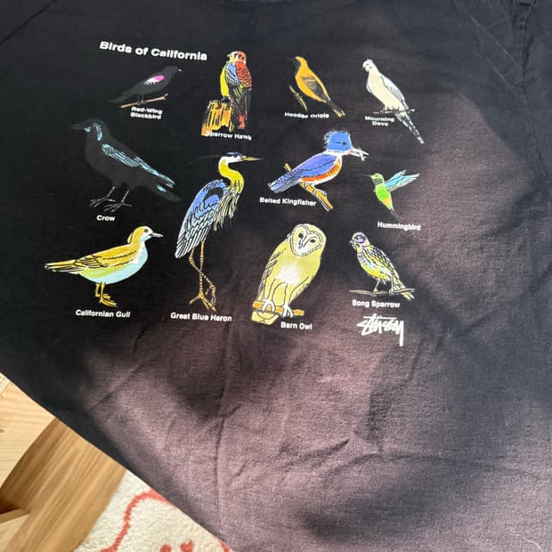 스투시 캘리포니아 버드 티셔츠 XL사이즈