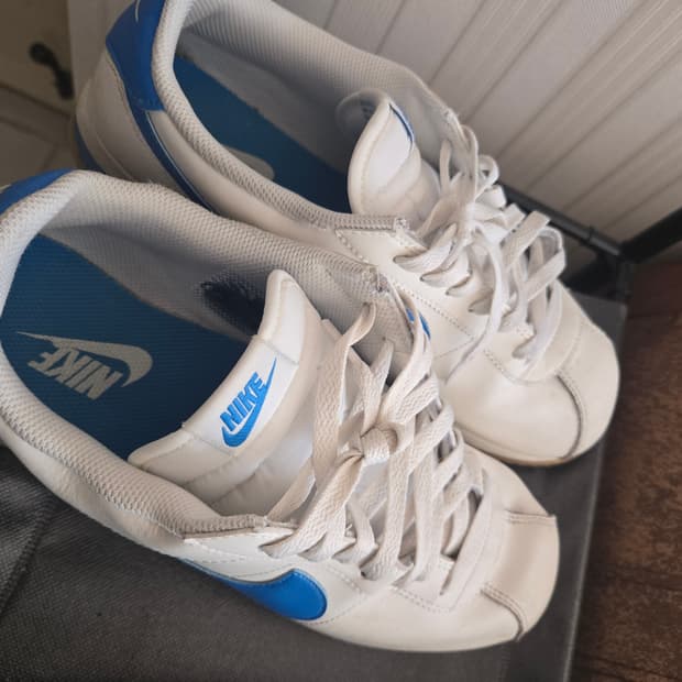 코르테즈 흰파 280