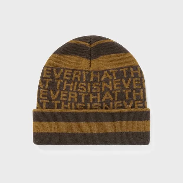 디스이즈네버댓 비니