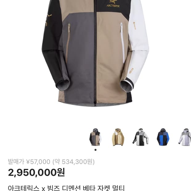 아크테릭스 빔즈 콜라보 바람막이