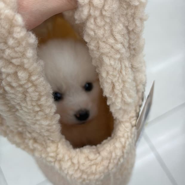 쓰리타임즈 핫픽스 티셔츠 결제창