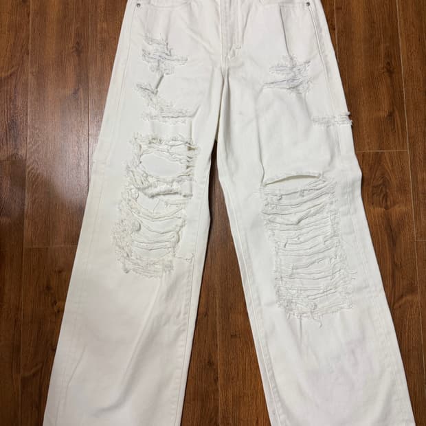 엘무드 디스진 화이트 46 샘플