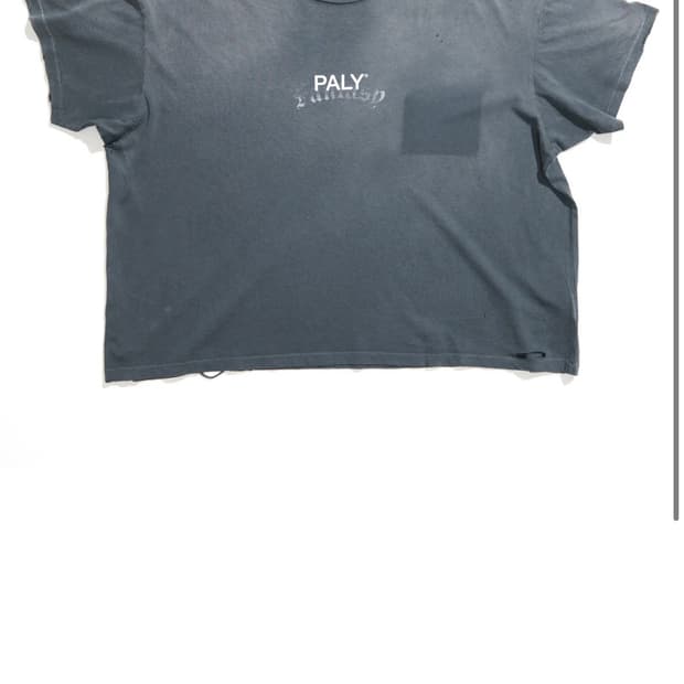 Paly CORE LOGO TEE