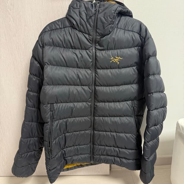 아크테릭스 토륨 AR 후디 24K