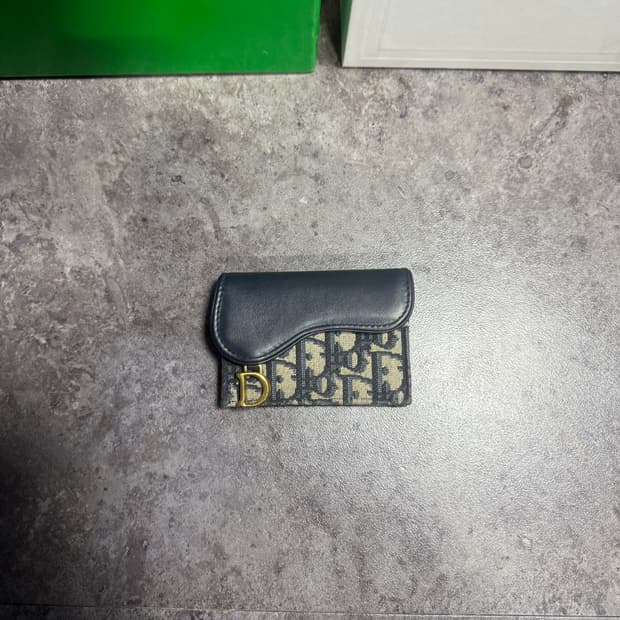 디올 오블리크 새들 카드지갑