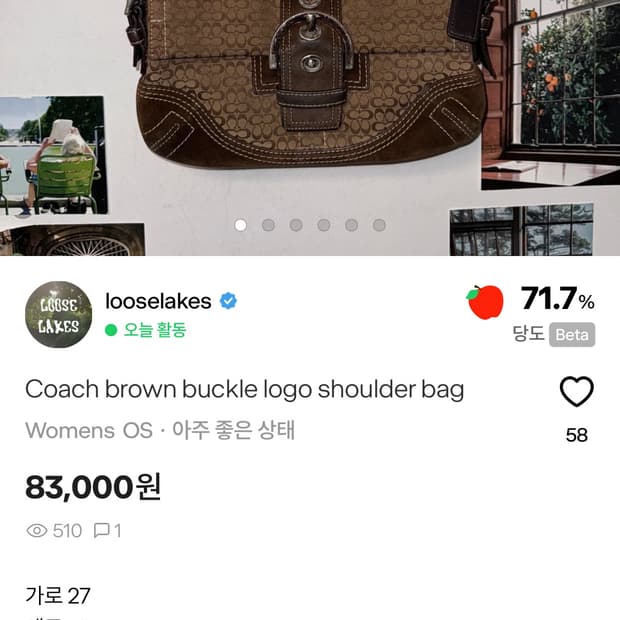 Coach bag2