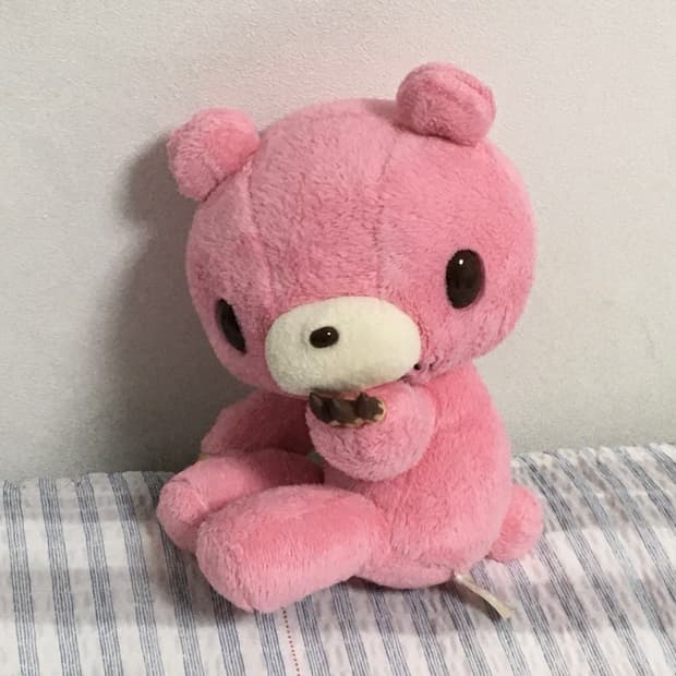 글루미베어 발렌타인 핑크 고전