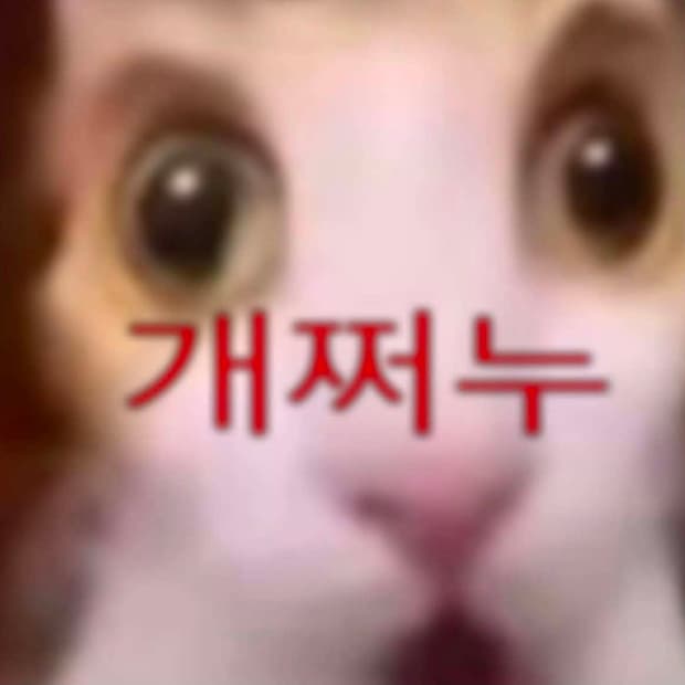 바겐세일