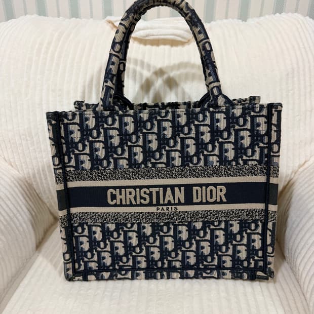 디올 오블리크 북토트 스몰