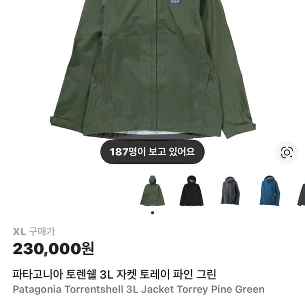 [새상품][크림구매]파타고니아 토렌쉘 3L 토레이 파인 그린 XL