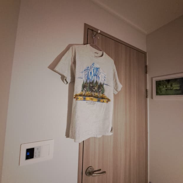 90's PRUIT OF THE ROOM싱글 스티치👕