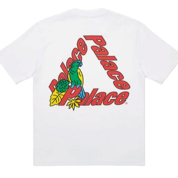 팔라스 패럿 팔라스-3 티셔츠 화이트 - 20FW