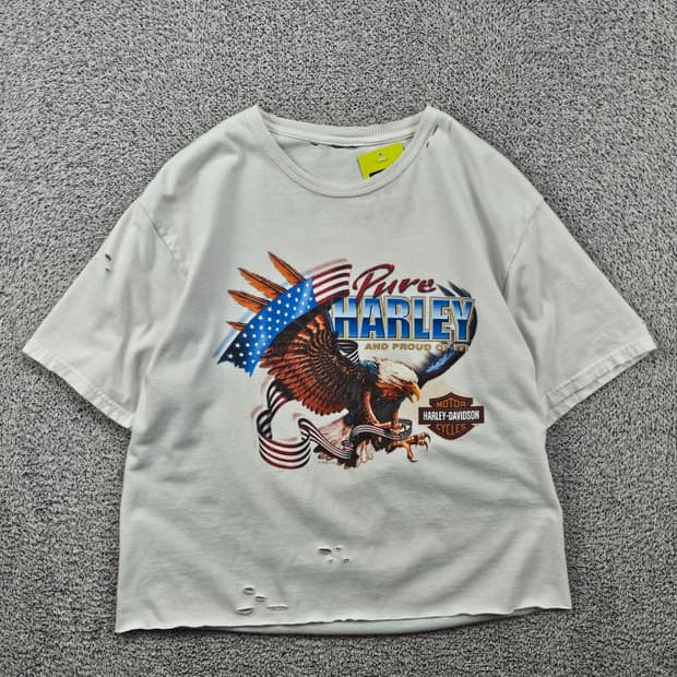 2005 할리데이비슨 빈티지 반팔 티셔츠 (S추정) / 11793