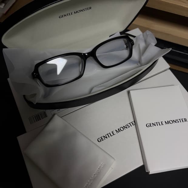 젠틀몬스터 안경 파니니