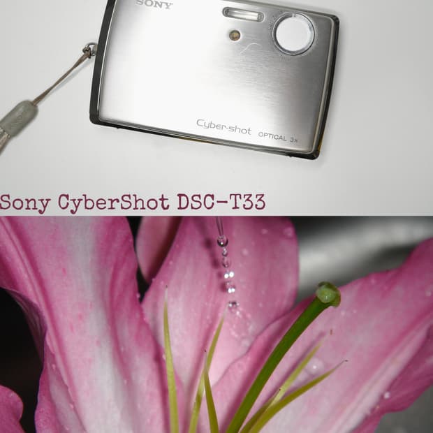 Sony DSC-T33
