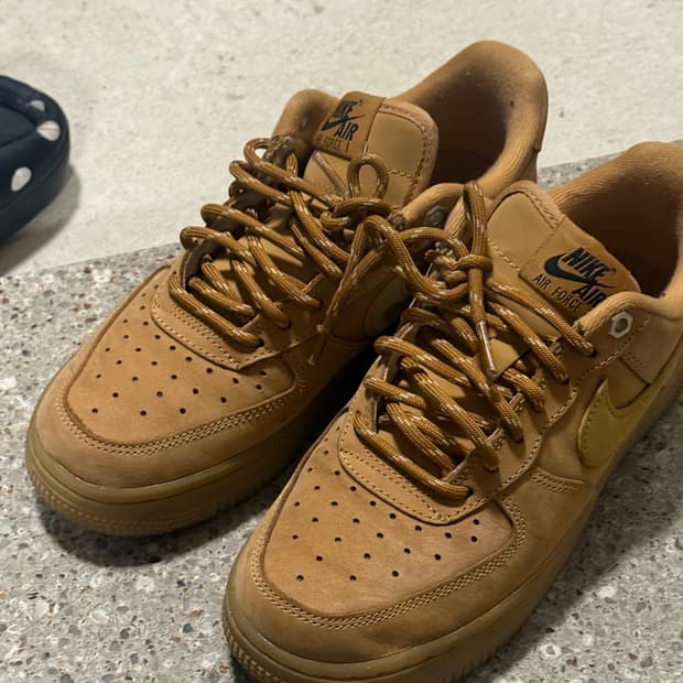 나이키 된장포스 230