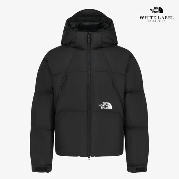 노스페이스 프로젝트 다운