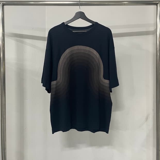 드리스반노튼 x 베르너팬톤 