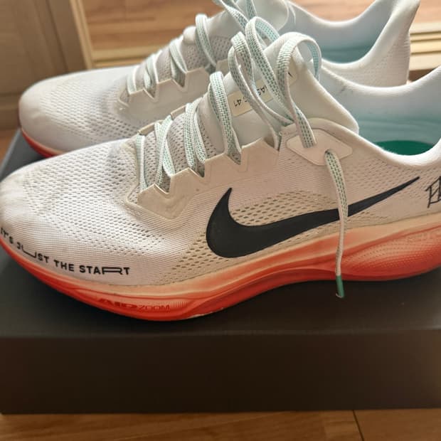 나이키 페가수스 41 엘리우드 킵초게