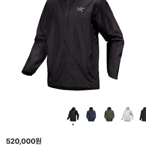 아크테릭스 솔라노 후디