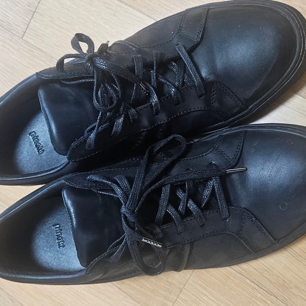 킨치 피노키 vein 301