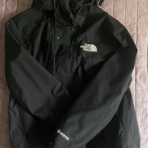 노스페이스 고어텍스 마운틴 자켓