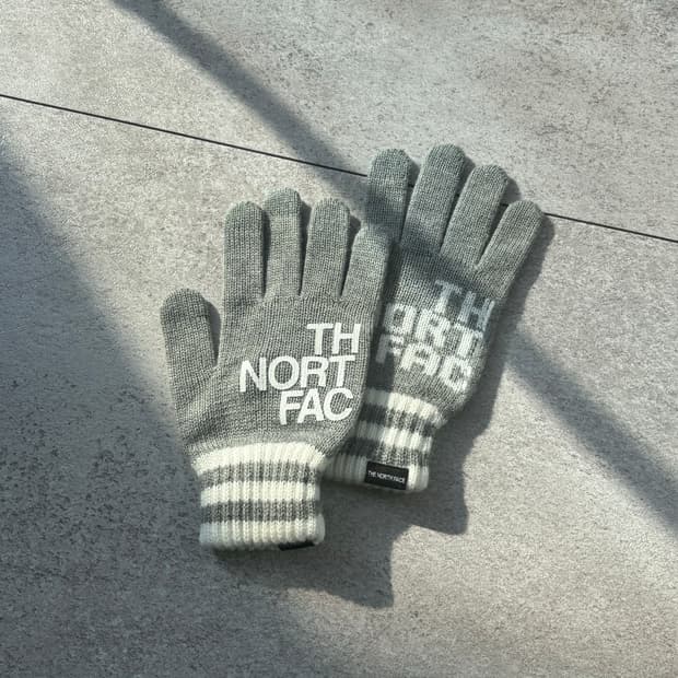 노스페이스 로고 글로브