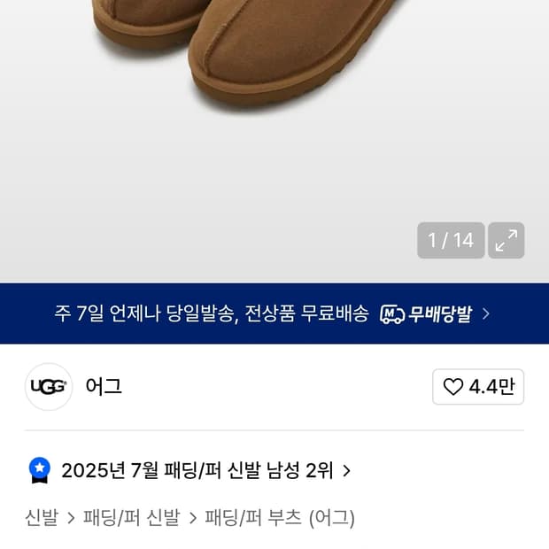어그 타스만 체스넛 260