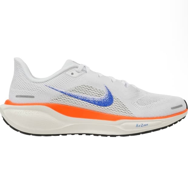 [290] 나이키 에어 줌 페가수스 41 블루프린트