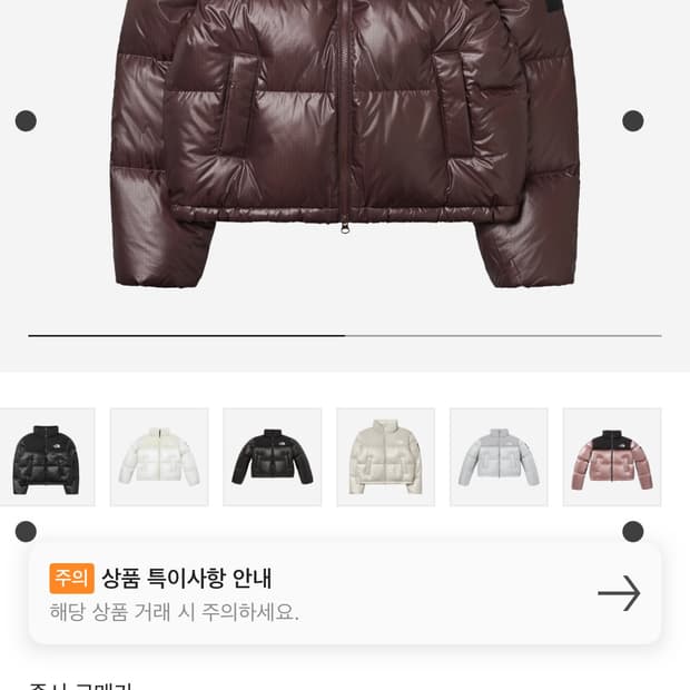 노스페이스 여성 눕시 코코아브라운 M(90)