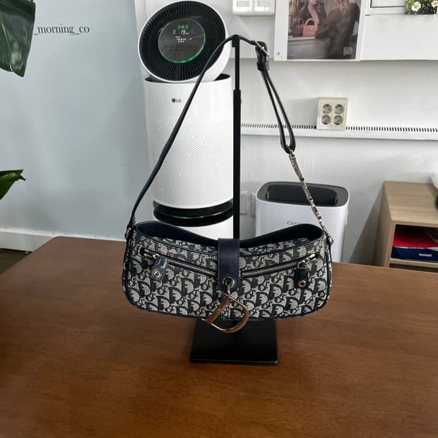 디올 오블리크 숄더백