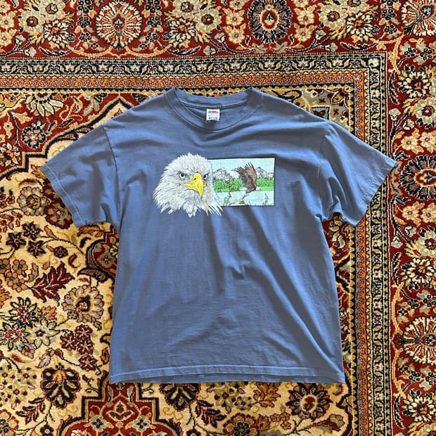 90s 프루트오브더룸 'Majestic Eagle' - XL