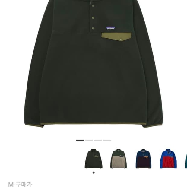 파타고니아 신칠라 그린 M